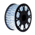Instalatie Craciun, 100 m, 2400 Led-uri, Furtun Luminos, Alb rece, Transformator, Sectionabila, 220 V, Smart